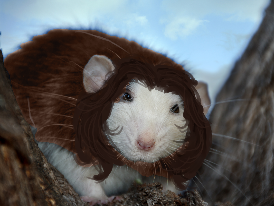 Ava Starr. The ritual drawover in hopes I complete the ref within the decade